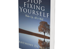 A hardcover book titled "Stop Fixing Yourself" by Anthony De Mello, featuring a nature scene with a tree and its reflection on water against a starry sky.