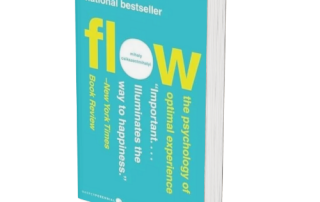 Accept the challenge of navigating the emotional landscape and enhancing mental well-being with "The Psychology of Flow," a transformative guide for personal growth and resilience.